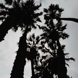 Meet your Posher, Abril